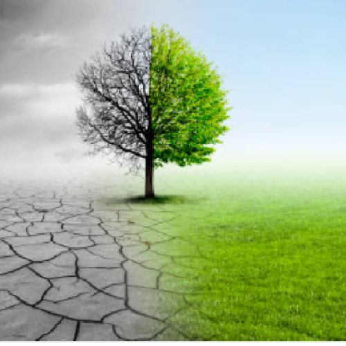A Gangorra Térmica: Como Viver em Tempos de Clima “Esquizofrenicamente” Maluco